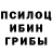 Псилоцибиновые грибы GOLDEN TEACHER Arbeleda
