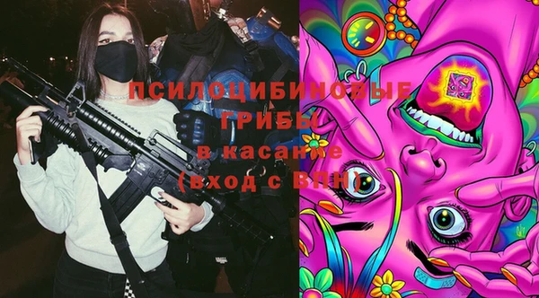 тгк Нязепетровск