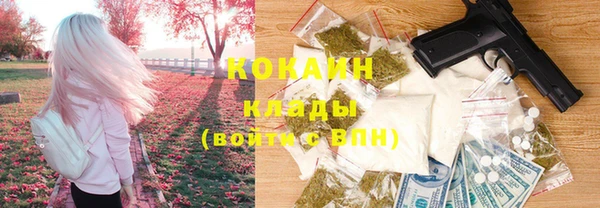 шишки Нягань