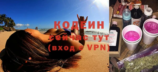 шишки Нягань