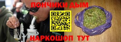 гидропоника Будённовск
