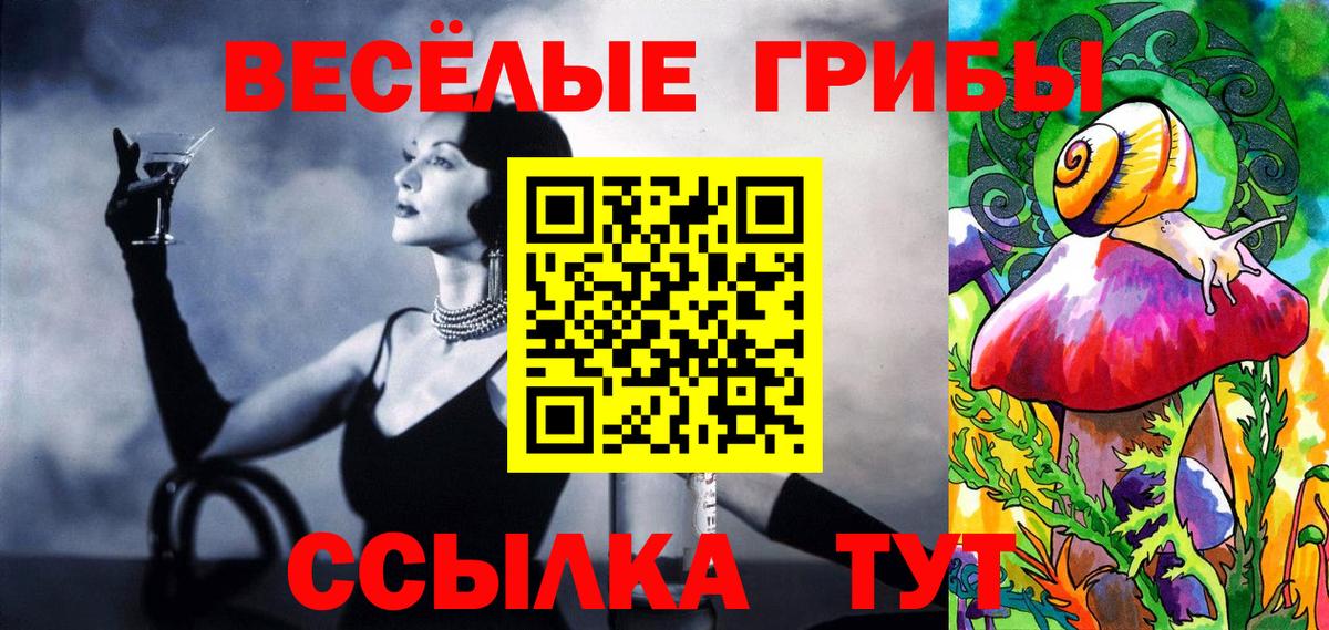 Псилоцибиновые грибы Psilocybe  магазин  наркотиков  Выборг 