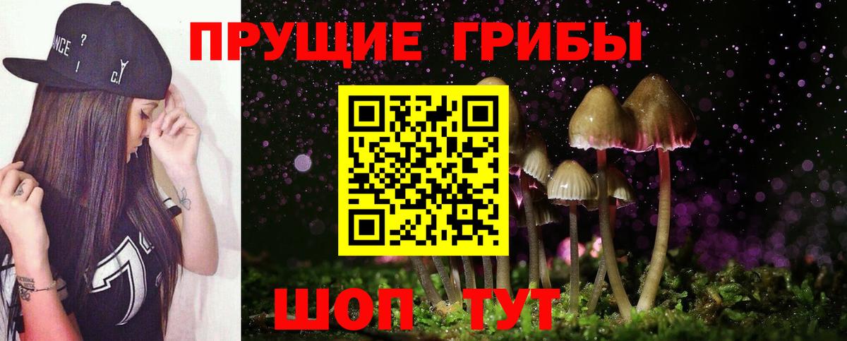 Галлюциногенные грибы мухоморы Выборг