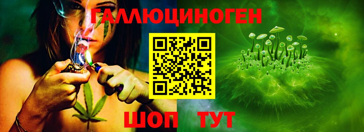 Галлюциногенные грибы Psilocybe  Галлюциногенные грибы прущие грибы  магазин  наркотиков  Выборг  Вход с VPN 