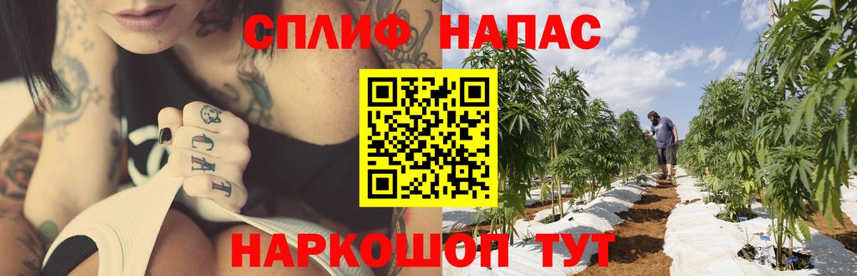 Каннабис Ganja Выборг
